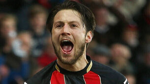 Neil Warnock: Harry Arter loves his country and he wants to play for Ireland again