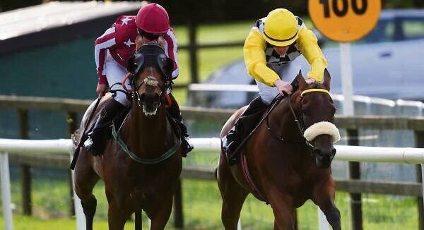 Nitro Boost and Billy Lee (right) win the Peter O’Keeffe Memorial Maiden from Arctic Channel (Seamus Heffernan) at Bellewstown last night. Picture: Healy Racing Nitro Boost and Billy Lee (right) win the Peter O’Keeffe Memorial Maiden from Arctic Channel (Seamus Heffernan) at Bellewstown last night. Picture: Healy Racing