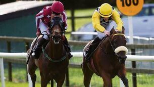 I Can Fly to wing in again