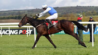 Classy Kemboy rules supreme at Punchestown