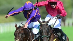 Snow Falcon gives Noel Meade first Kerry National success