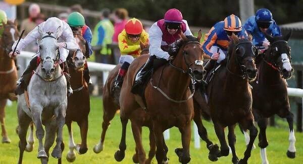 Maricru and Shane Crosse (left) win the Sean McGuinness Memorial Handicap from Mystique Heights (maroon and white) at Bellewstown last night. Picture: Healy Racing Maricru and Shane Crosse (left) win the Sean McGuinness Memorial Handicap from Mystique Heights (maroon and white) at Bellewstown last night. Picture: Healy Racing