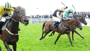 Mullins bandwagon just keeps rolling along in Galway