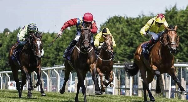 Jason Watson riding Born To Boogie (red cap) on his way to winning the mintbet.com World Cup Red Card Refund Handicap at Brighton yesterday. Pic: Alan Crowhurst/Getty Jason Watson riding Born To Boogie (red cap) on his way to winning the mintbet.com World Cup Red Card Refund Handicap at Brighton yesterday. Pic: Alan Crowhurst/Getty
