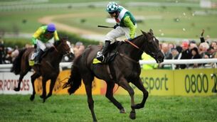 Paul Nicholls pays tribute to 'superstar' Denman after death announced of 2008 Gold Cup hero