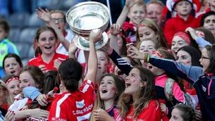 Cork prove their credentials whatever terms of engagement