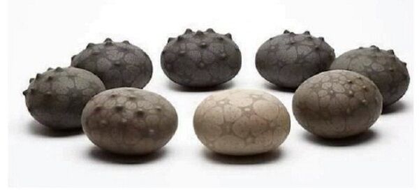 This stunning sculptural ensemble is Frances Lambe’s ‘Progression’.
