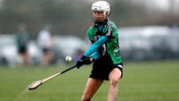 Diggin leading Kerry’s Camogie revolution