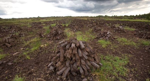 Court hears cases have "far-reaching implications for the peat harvesting industry"