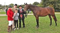 Festival of Irish horse breeding winners