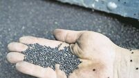 Sowing the seeds for the future