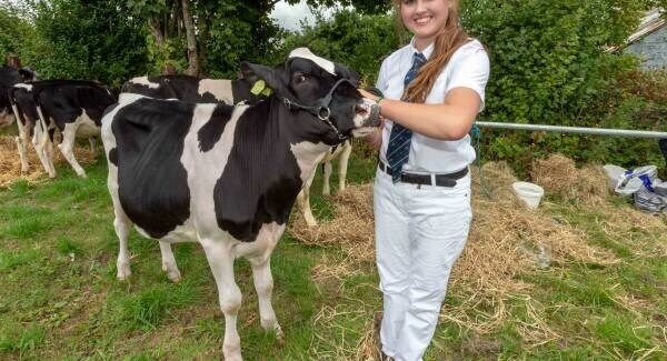 Aisling Harty, Ballyheigue, readies her 10-month-old pedigree Holstein Friesian, Ballylongane Farci, at the recent Kilgarvan Agri Show 2018. Picture: John Delea. Aisling Harty, Ballyheigue, readies her 10-month-old pedigree Holstein Friesian, Ballylongane Farci, at the recent Kilgarvan Agri Show 2018. Picture: John Delea.