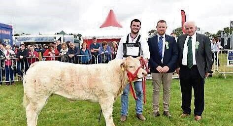 Class winner 1st in September born Limousin, John O’Connell, Old Castle Co Meath, at the Tullamore Show and FBD National Livestock Show at the Butterfield Estate, Blueball, Tullamore. Pictures: Dan Linehan.