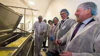Glanbia’s US operation wins top cheese award