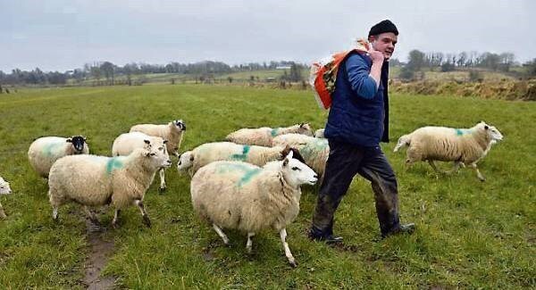 There are losers and winners in all schemes - but Forgotten Farmers will fight on
