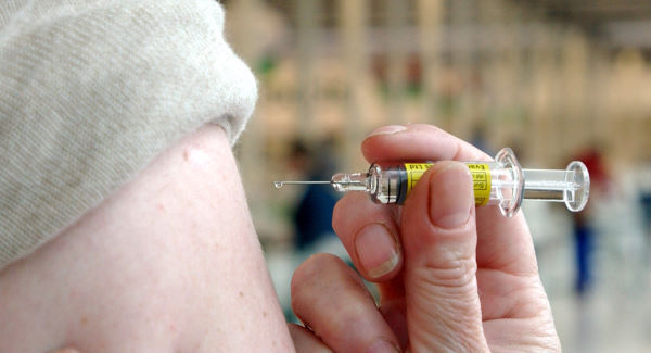 How heifers’ warts can be turned into a vaccine
