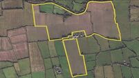 70 acre south Tipperary holding will Attract Bidders at Public Auction