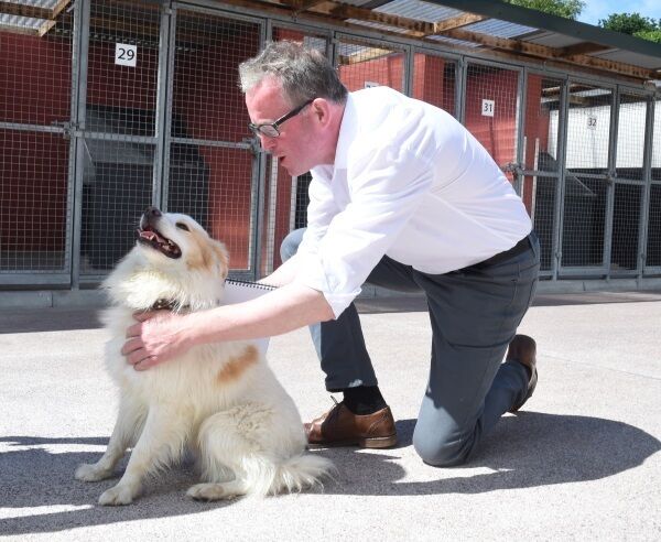 Our writer Donal O’Keeffe gets acquainted. Pic: Larry Cummins.