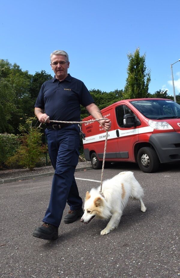 Barry Bridgeman arrives with lost dog 'Buster' at CSPCA 'animal home' in Mahon. Pic: Larry Cummins.