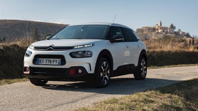 C4 Cactus stands out from the crowd