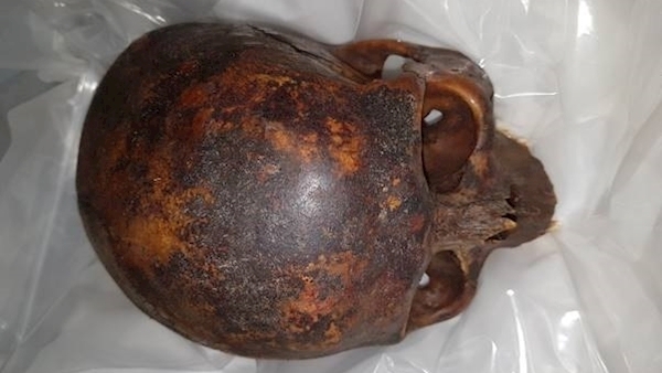 Church 'extremely grateful' for recovery of 800-year-old 'Crusader' skull
