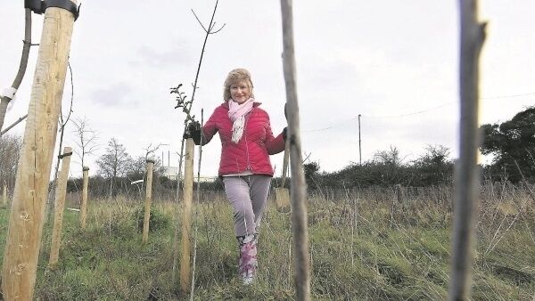 Orla Farrell, project leader, Easy Treesie, in Seagrange Park adjoining Bayside Dart station in Dublin, where local school children planted over 3,000 trees as part of Plant for the Planet, Trees for Climate Justice. The aim of Easy Treesie is to plant one million trees representing one million school children by 2023. Pictures: Moya Nolan