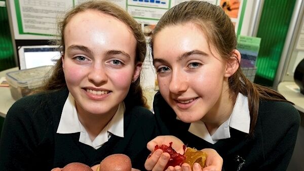 Aoife McMahon and Rachel Ingle from Santa Sabina Dominican College with their project.