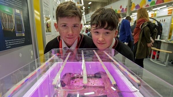 Oisin Brady Halmschlag and Kevin Lawlor of Coláiste Chiaráin, Limerick, with their project to design a hydroponic system for sustainable plant growth on the moon.