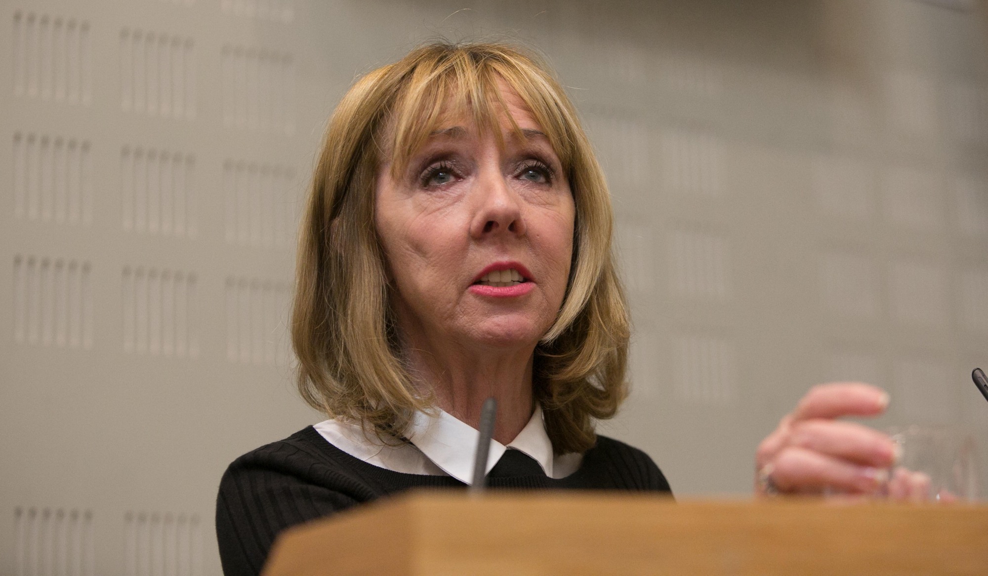 Latest: Joan Freeman criticises lack of audit on Áras spending