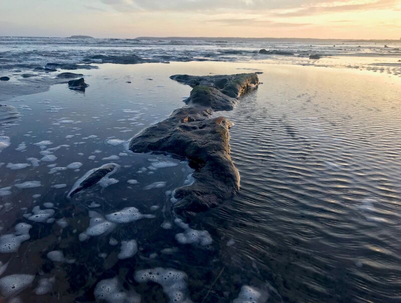 In recent weeks the receding waters at Claycastle beach have delivered an enthralling glimpse of the ancient terrain beneath the sand. Picture: Jessica Burke
