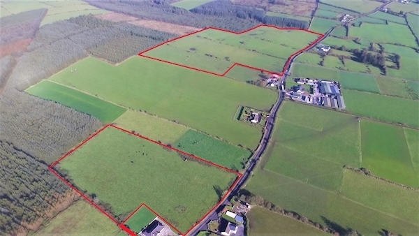 Demand expected for farm selling in strong dairy area
