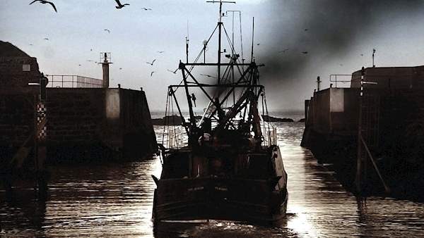No-deal Brexit puts fisheries jobs at risk