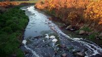 Company pleads guilty to allowing high concentrations of silt into west Cork river