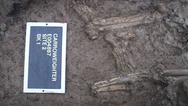 A human skeleton that had its severed foot placed between its legs. It was discovered on the N60 Oran scheme in Co Roscommon. Picture: IAC Ltd