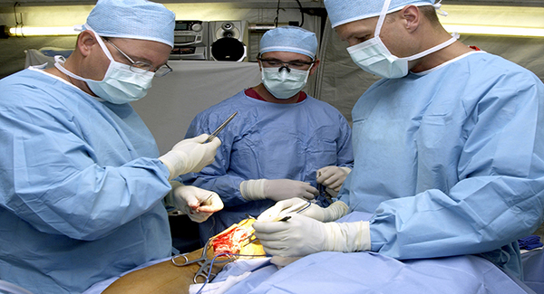 231 transplants made possible after 'exceptional year' for organ donation