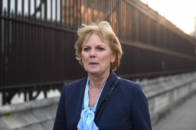 Anna Soubry was heckled by pro-Brexit protesters outside Parliament (Victoria Jones/PA)