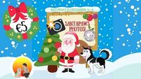 Santa Paws will be visiting some very good boys in Cork next week