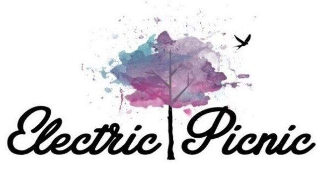 Going, going, gone - Electric Picnic is already sold out
