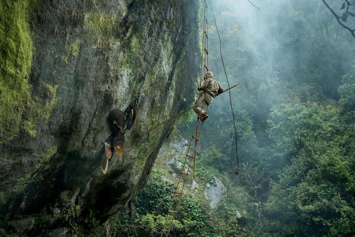 Dikpal Thapa documented locals in Nepal harvesting honey from wild Himalayan bees. 2019 Sony World Photography Awards