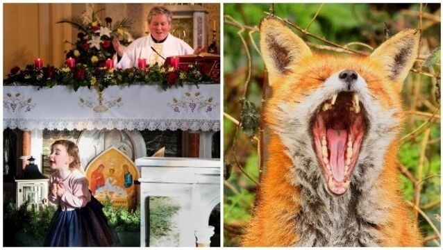 Readers' Photography Competition: Putting our readers in the frame