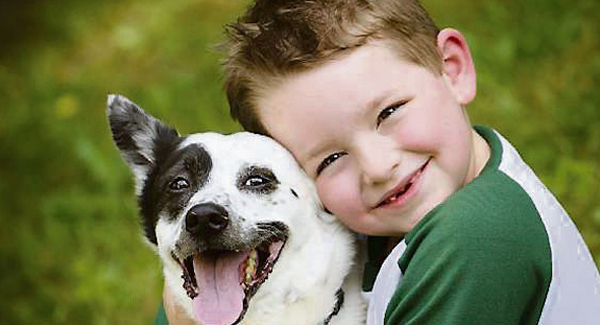 Why losing a dog can be harder than losing a relative or friend