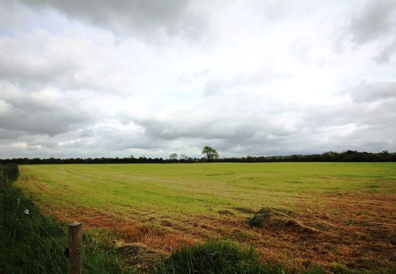 Some of the land on the 46-acre holding for sale near Charleville, Co Cork.