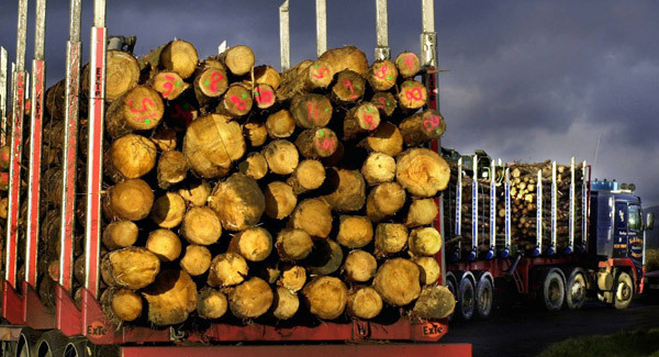 Forestry KTGs and Green Cert changes can end fear of the unknown