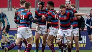 St Munchins withstand late Castletroy rally to secure Junior Cup final place