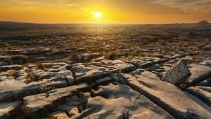 Wild charm in craggy Clare - The best of the Burren