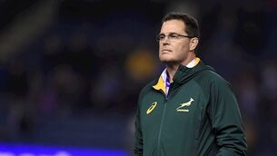 Rassie Erasmus to quit coaching role after World Cup