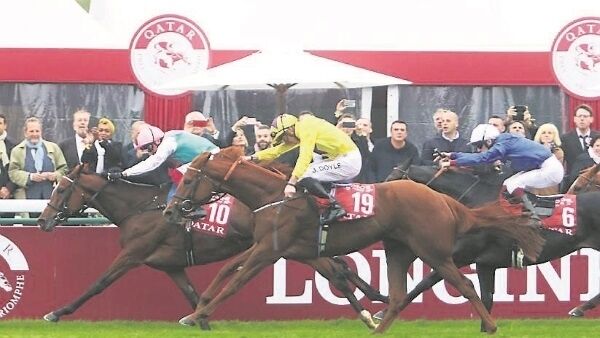 Enable, left, digs deep to deny Sea Of Class in last year’s Prix de l’Arc de Triomphe. The brilliant filly could make Arc history in October. Enable, left, digs deep to deny Sea Of Class in last year’s Prix de l’Arc de Triomphe. The brilliant filly could make Arc history in October.