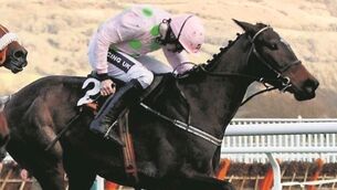 Brexit Proof: The Irish festival bankers