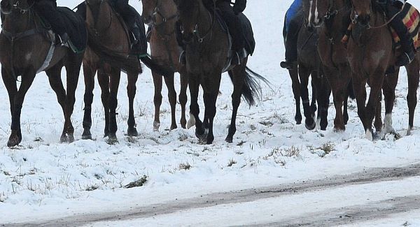 Cautious optimism Dublin Racing Festival will beat cold snap