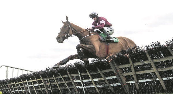 Gordon Elliott hoping for rain as he mulls Samcro outing